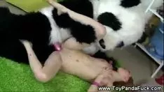 Oynat Ayı ne sikikleri içinde kedi bir kaltak